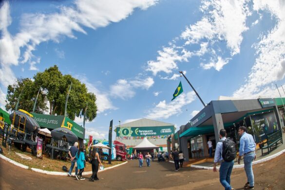 обладнання для тростинної переробки