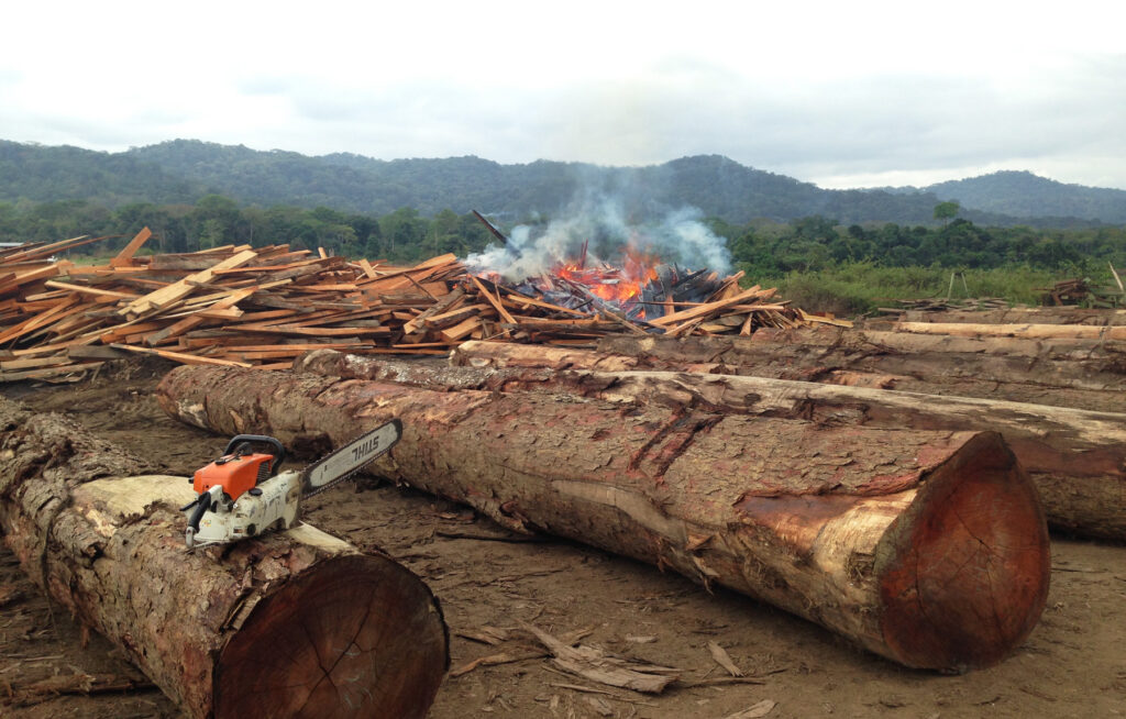 Дефорестація